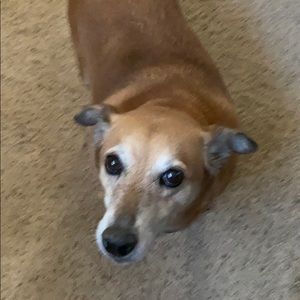 Meet your Posher, Brian j